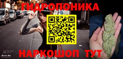 ALPHA PVP Кандалакша