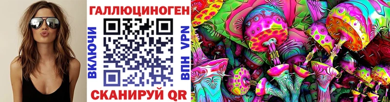 Псилоцибиновые грибы Psilocybe  наркотики  Мичуринск 