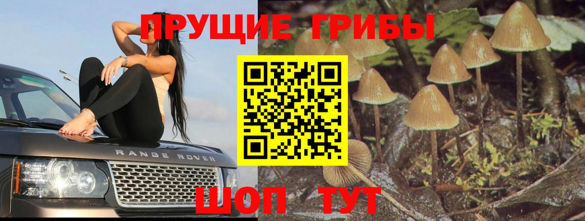 Галлюциногенные грибы Magic Shrooms  где купить наркотик  Псилоцибиновые грибы мицелий  Мичуринск  Вход с VPN 